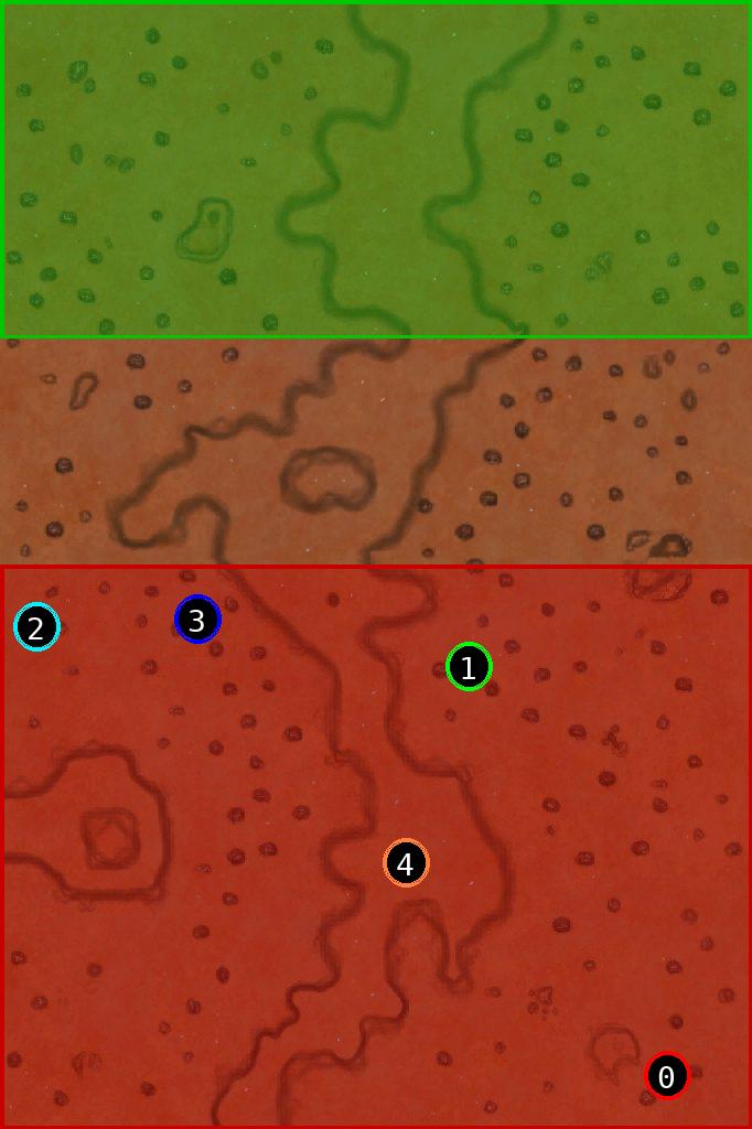 sat pic of Red River Remake